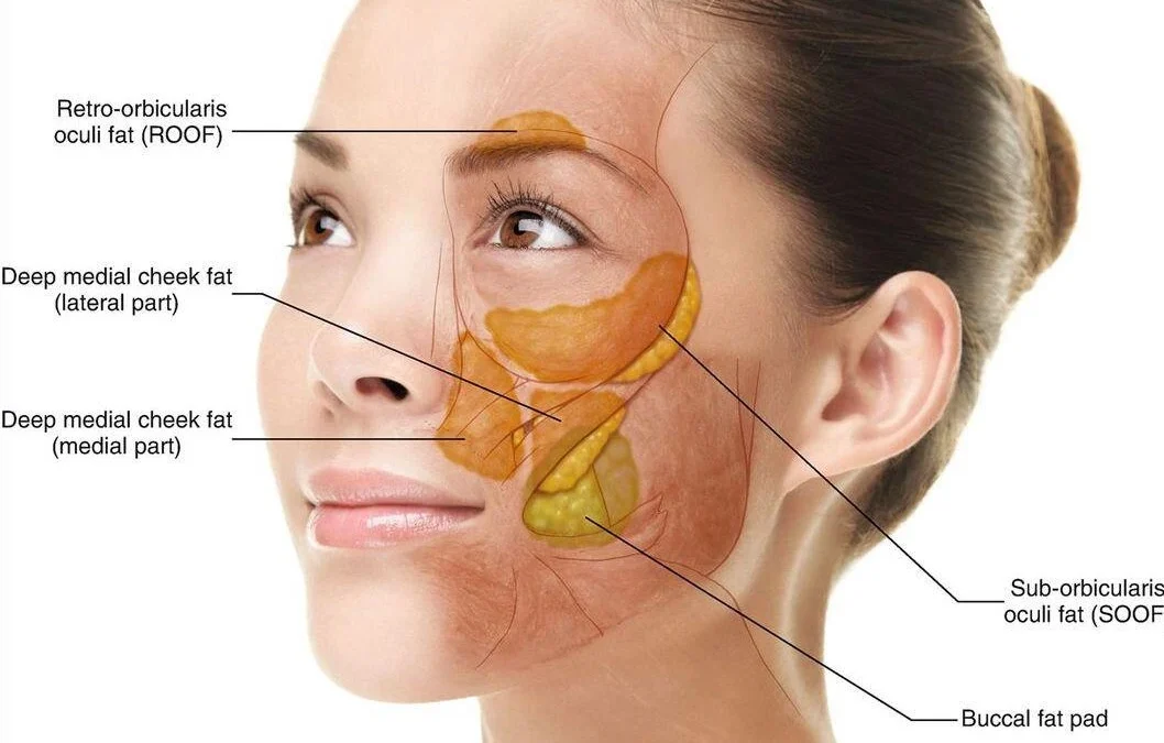 Buccal Fat Removal in Mumbai: Understanding Cheek Reduction Surgery